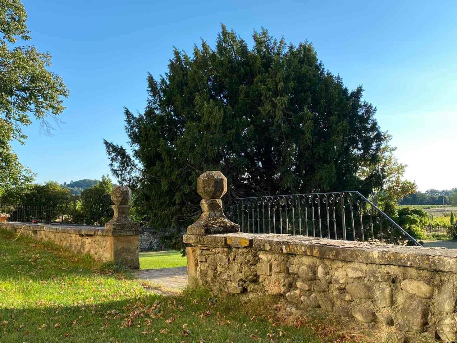 Chateau Montplaisir Charming B&B In Provence Valréas Exterior foto